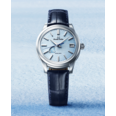 SBGA407G